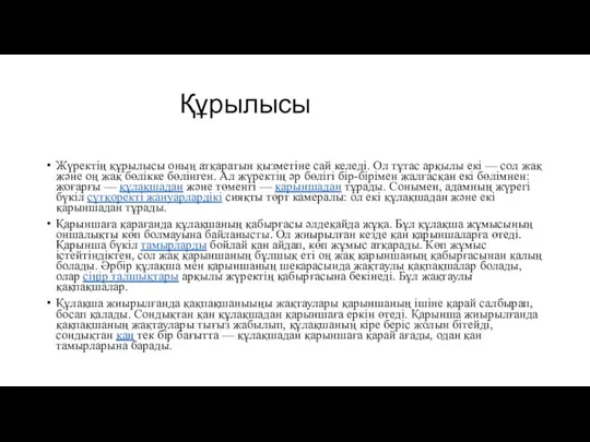 Құрылысы Жүректің құрылысы оның атқаратын қызметіне сай келеді. Ол тұтас