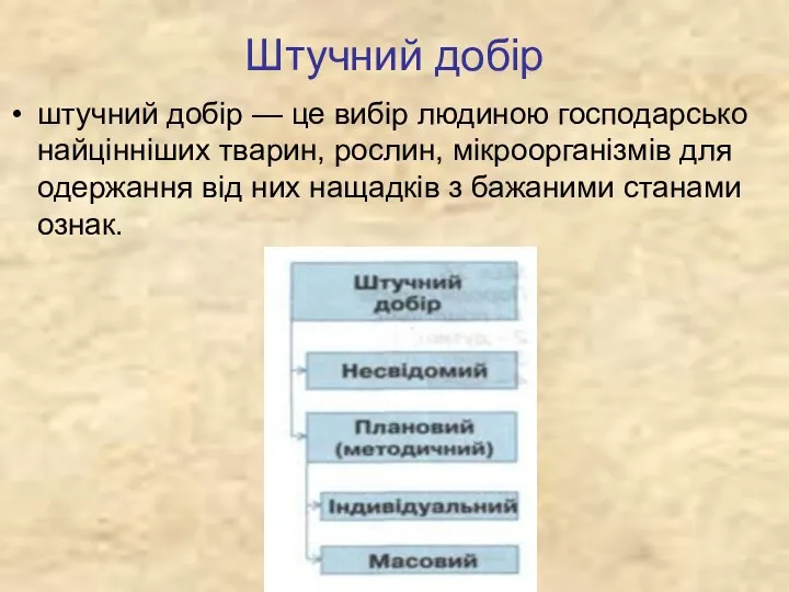 Штучний добір штучний добір — це вибір людиною господарсько найцінніших