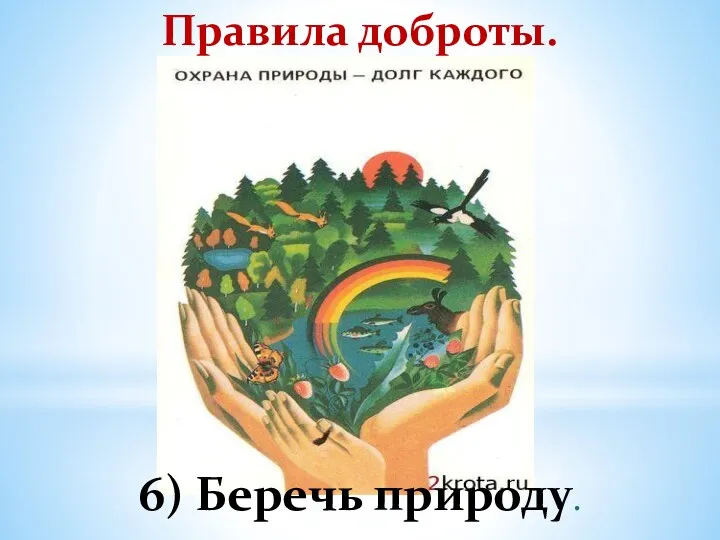 Правила доброты. 6) Беречь природу.