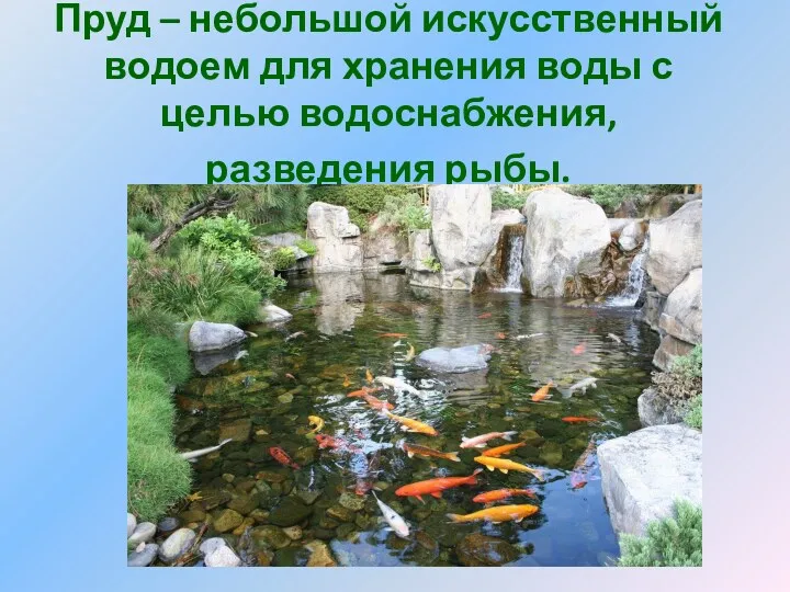 Пруд – небольшой искусственный водоем для хранения воды с целью водоснабжения, разведения рыбы.