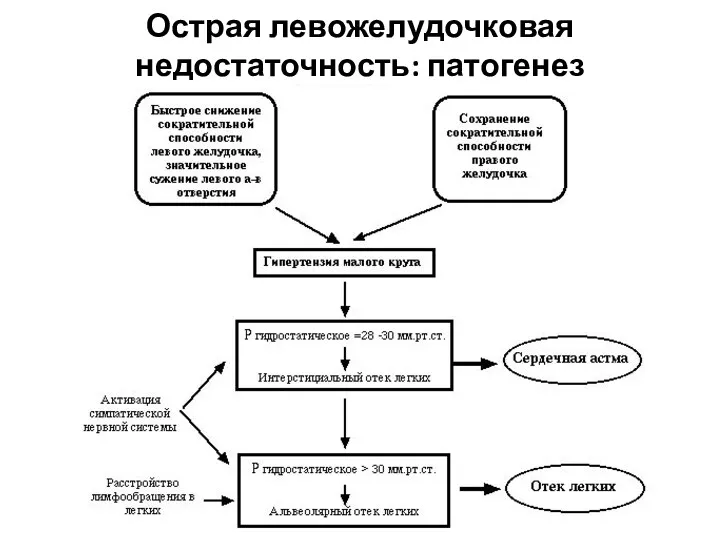 Острая левожелудочковая недостаточность: патогенез