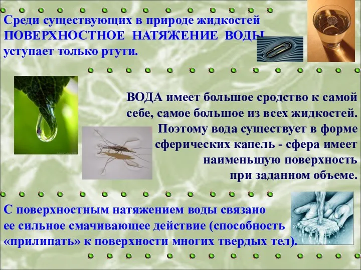 Среди существующих в природе жидкостей ПОВЕРХНОСТНОЕ НАТЯЖЕНИЕ ВОДЫ уступает только