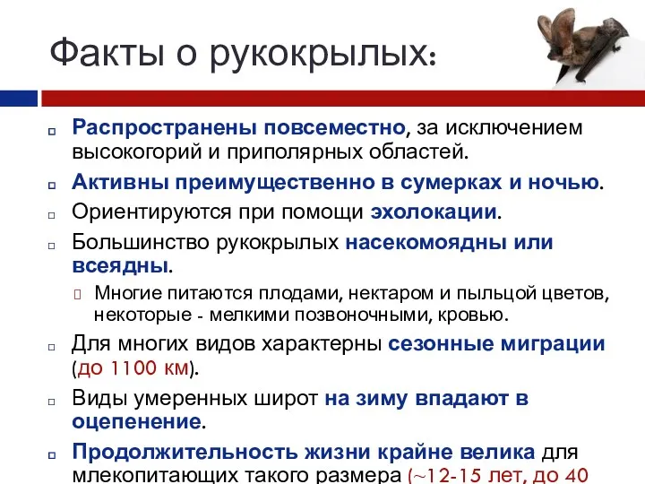 Факты о рукокрылых: Распространены повсеместно, за исключением высокогорий и приполярных