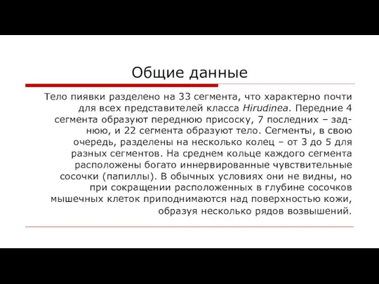 Общие данные Тело пиявки разделено на 33 сегмента, что характерно