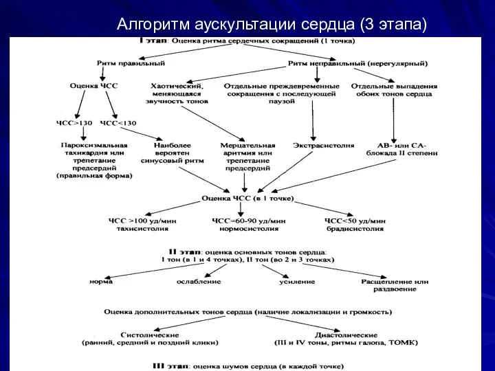 Алгоритм аускультации сердца (3 этапа)