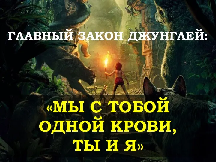 ГЛАВНЫЙ ЗАКОН ДЖУНГЛЕЙ: «МЫ С ТОБОЙ ОДНОЙ КРОВИ, ТЫ И Я»