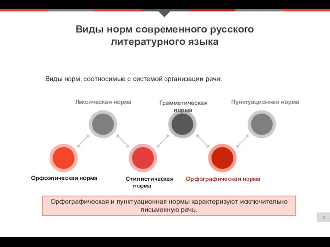 Виды норм современного русского литературного языка Виды норм, соотносимые с