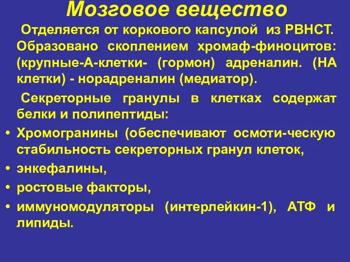 Мозговое вещество Отделяется от коркового капсулой из РВНСТ. Образовано скоплением