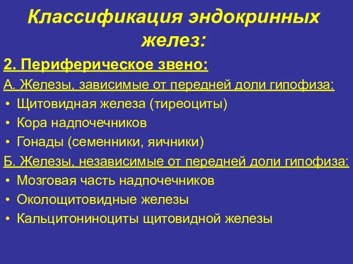 2. Периферическое звено: А. Железы, зависимые от передней доли гипофиза: