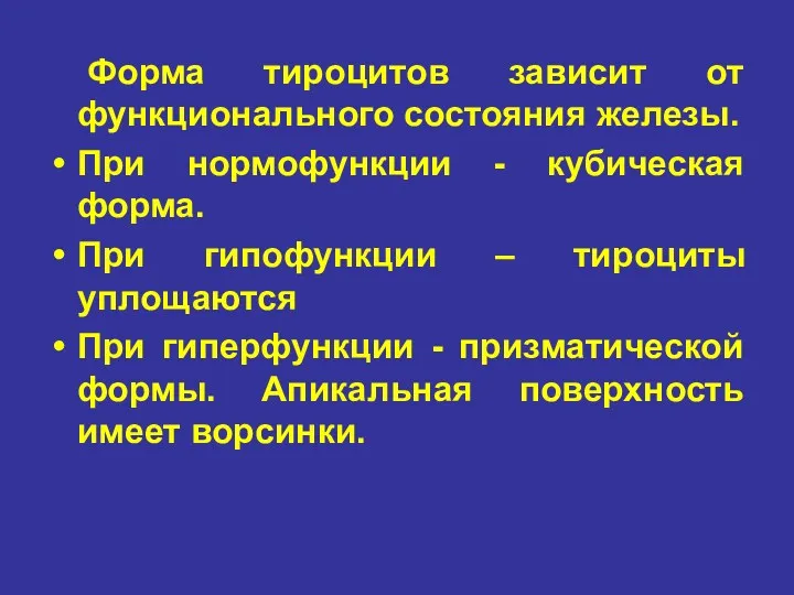 Форма тироцитов зависит от функционального состояния железы. При нормофункции -