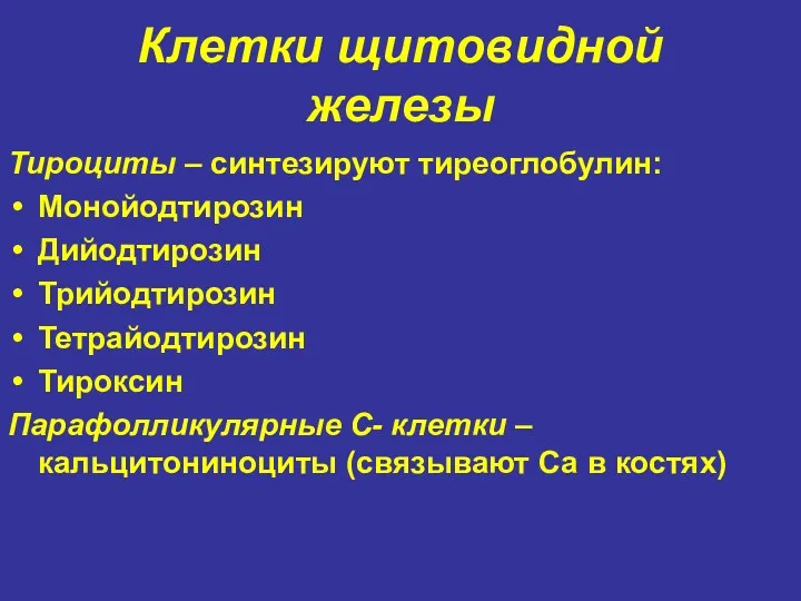 Клетки щитовидной железы Тироциты – синтезируют тиреоглобулин: Монойодтирозин Дийодтирозин Трийодтирозин