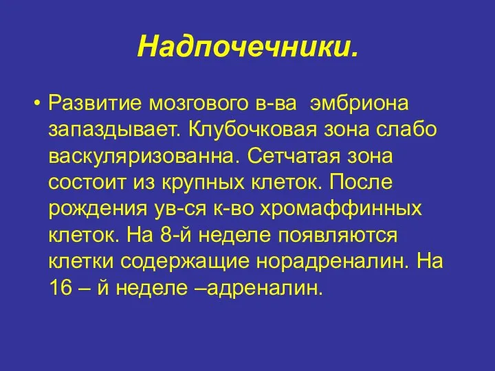 Надпочечники. Развитие мозгового в-ва эмбриона запаздывает. Клубочковая зона слабо васкуляризованна.