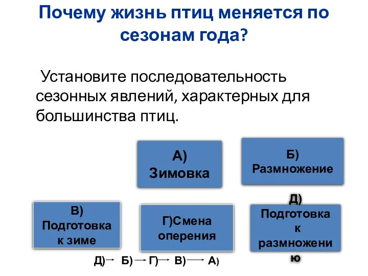 Почему жизнь птиц меняется по сезонам года? Установите последовательность сезонных