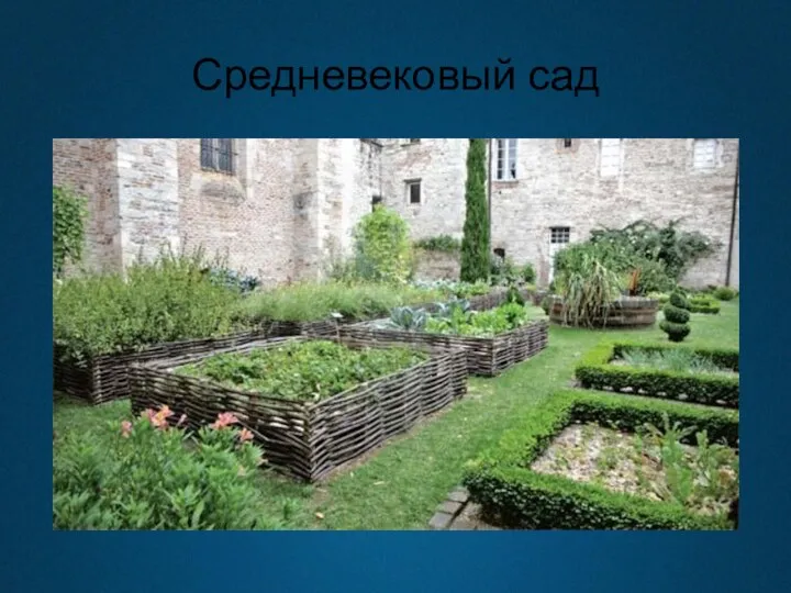 Средневековый сад
