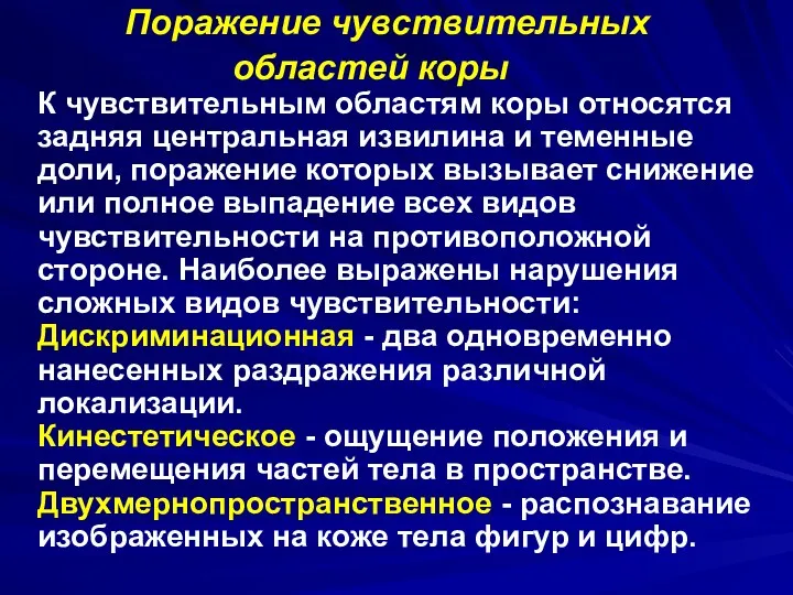 Поражение чувствительных областей коры К чувствительным областям коры относятся задняя