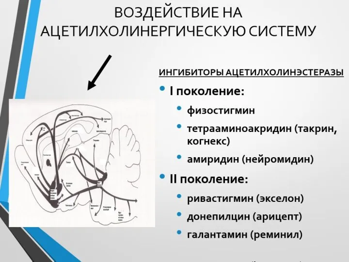 ВОЗДЕЙСТВИЕ НА АЦЕТИЛХОЛИНЕРГИЧЕСКУЮ СИСТЕМУ ИНГИБИТОРЫ АЦЕТИЛХОЛИНЭСТЕРАЗЫ I поколение: физостигмин тетрааминоакридин