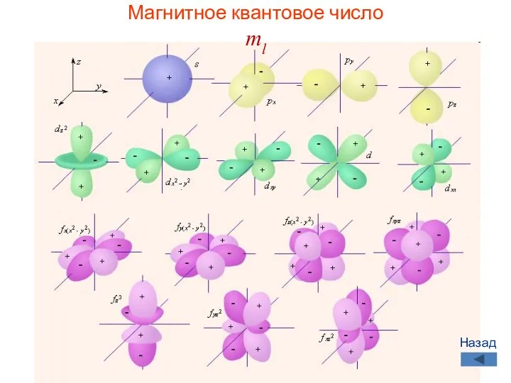 Магнитное квантовое число ml Назад