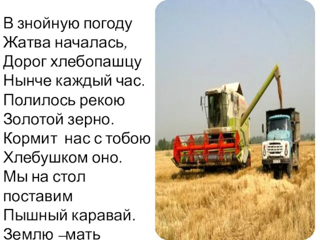 В знойную погоду Жатва началась, Дорог хлебопашцу Нынче каждый час. Полилось рекою Золотой