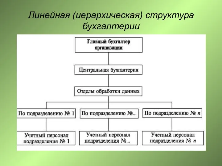 Линейная (иерархическая) структура бухгалтерии