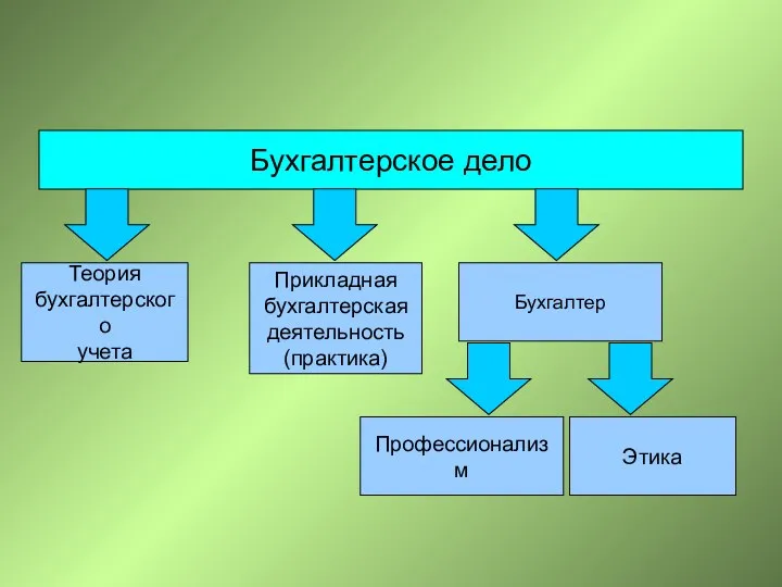 Бухгалтерское дело Теория бухгалтерского учета Прикладная бухгалтерская деятельность (практика) Бухгалтер Профессионализм Этика