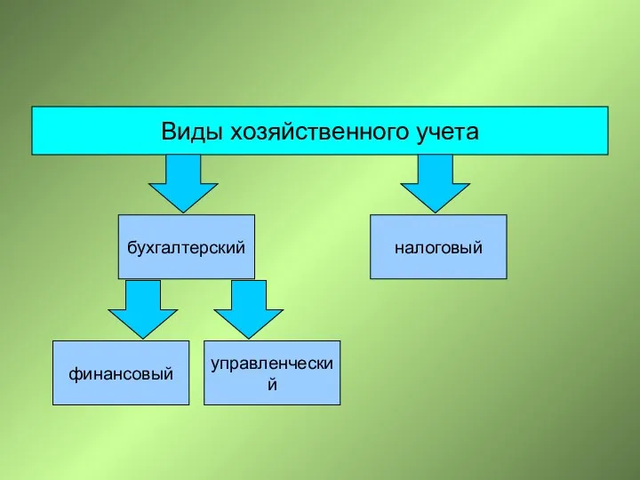 Виды хозяйственного учета бухгалтерский налоговый финансовый управленческий