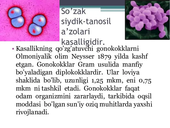 So’zak siydik-tanosil a’zolari kasalligidir. Kasallikning qo’zg’atuvchi gonokokklarni Olmoniyalik olim Neysser