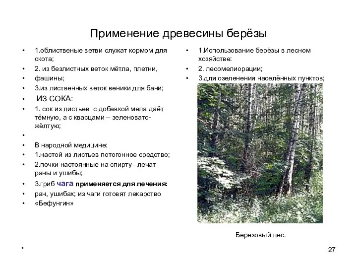 * Применение древесины берёзы 1.облиственые ветви служат кормом для скота;