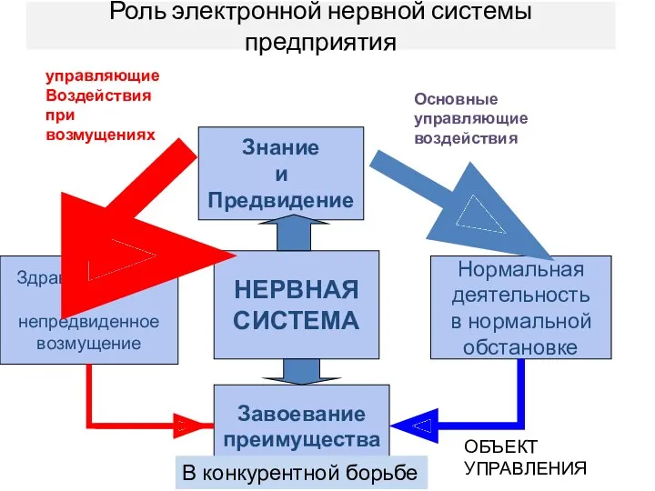 Роль электронной нервной системы предприятия Знание и Предвидение НЕРВНАЯ СИСТЕМА