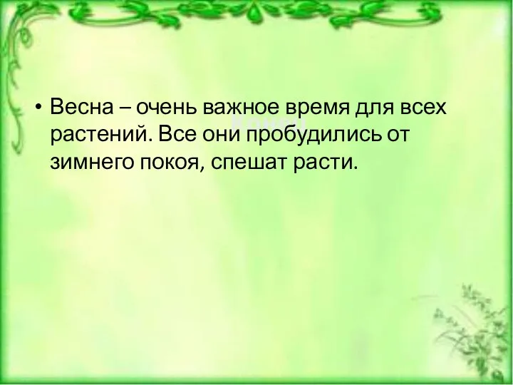 Весна – очень важное время для всех растений. Все они пробудились от зимнего покоя, спешат расти.