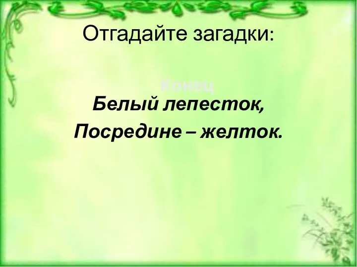 Отгадайте загадки: Белый лепесток, Посредине – желток.