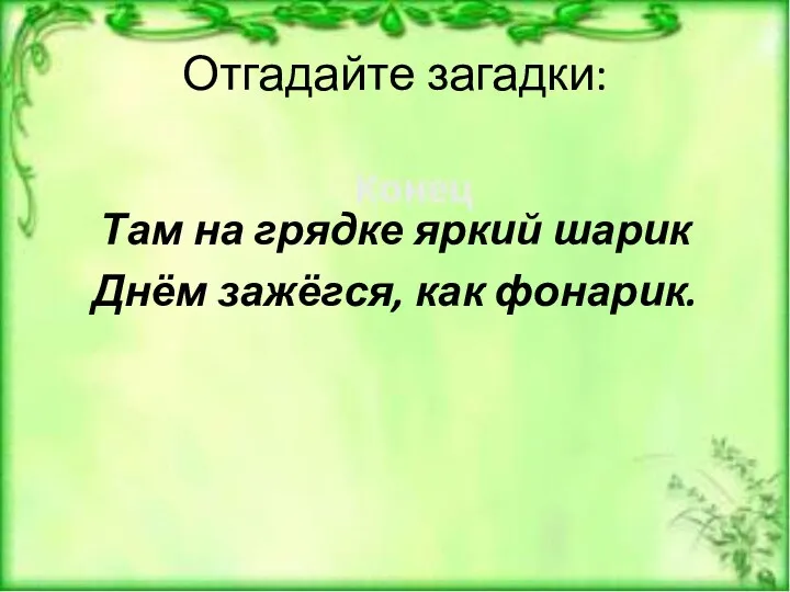 Отгадайте загадки: Там на грядке яркий шарик Днём зажёгся, как фонарик.