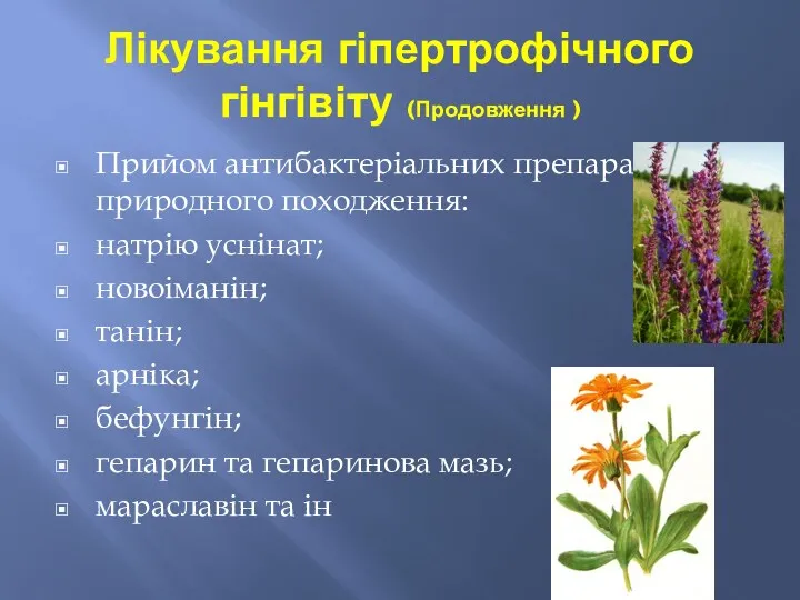 Лікування гіпертрофічного гінгівіту (Продовження ) Прийом антибактеріальних препаратів природного походження: