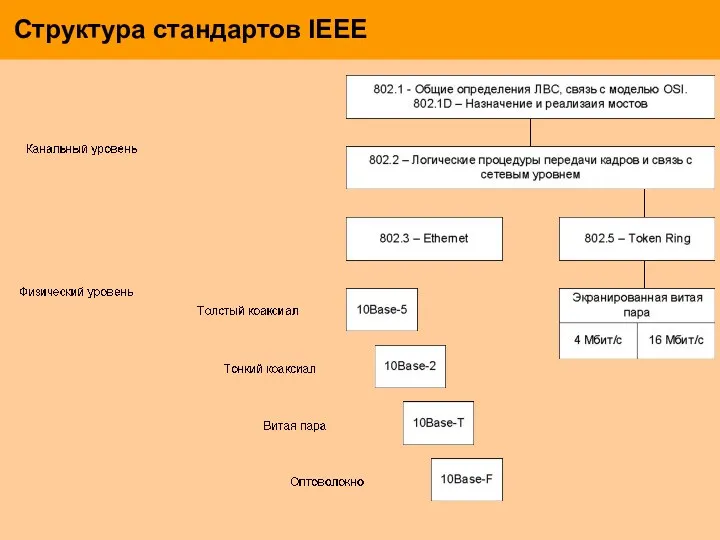 Структура стандартов IEEE