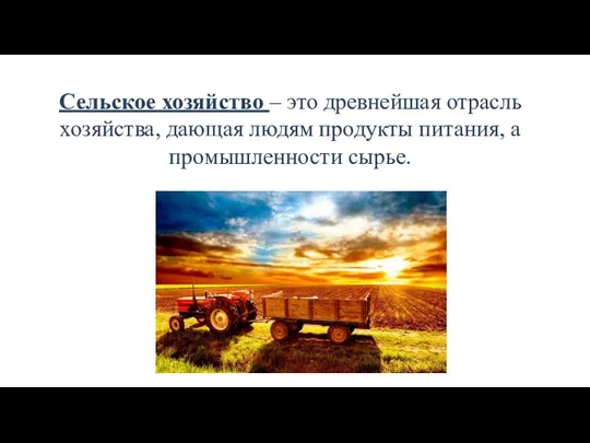 Сельское хозяйство – это древнейшая отрасль хозяйства, дающая людям продукты питания, а промышленности сырье.