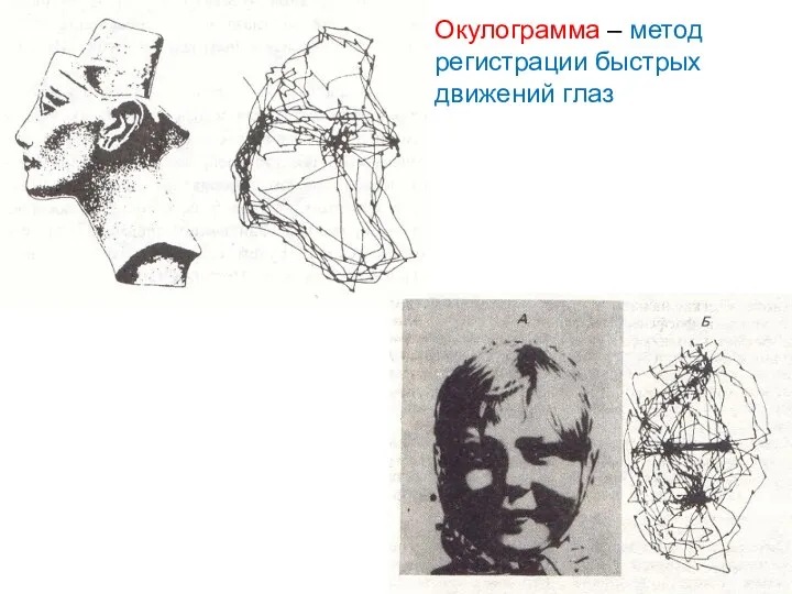 Окулограмма – метод регистрации быстрых движений глаз