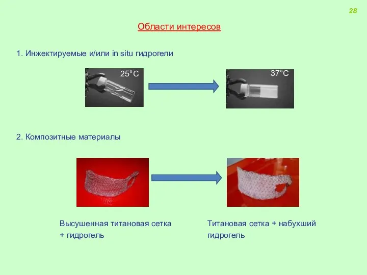 Области интересов 1. Инжектируемые и/или in situ гидрогели 2. Композитные