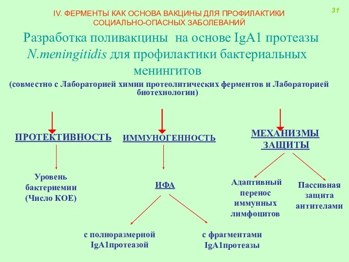 Разработка поливакцины на основе IgA1 протеазы N.meningitidis для профилактики бактериальных