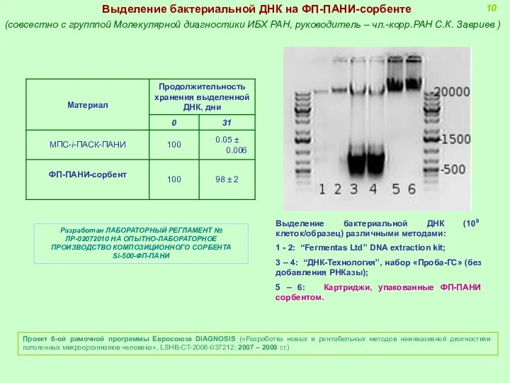 Проект 6-ой рамочной программы Евросоюза DIAGNOSIS («Разработка новых и рентабельных