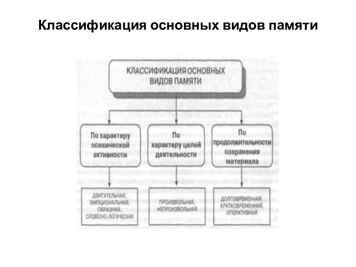 Классификация основных видов памяти