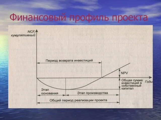 Финансовый профиль проекта