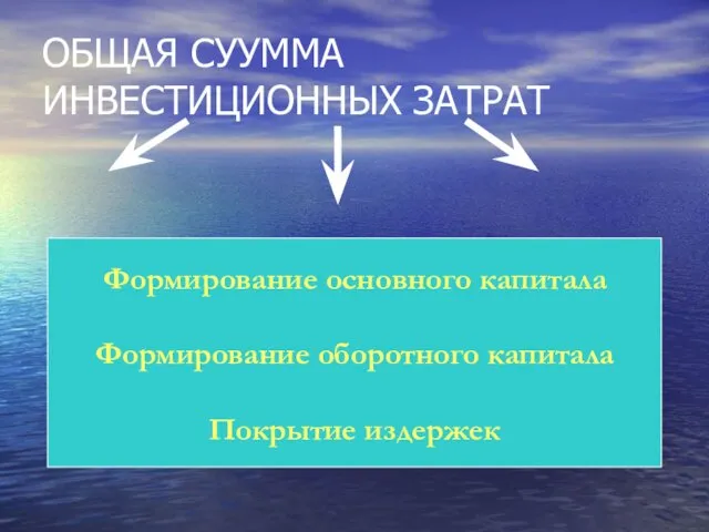 ОБЩАЯ СУУММА ИНВЕСТИЦИОННЫХ ЗАТРАТ Формирование основного капитала Формирование оборотного капитала Покрытие издержек