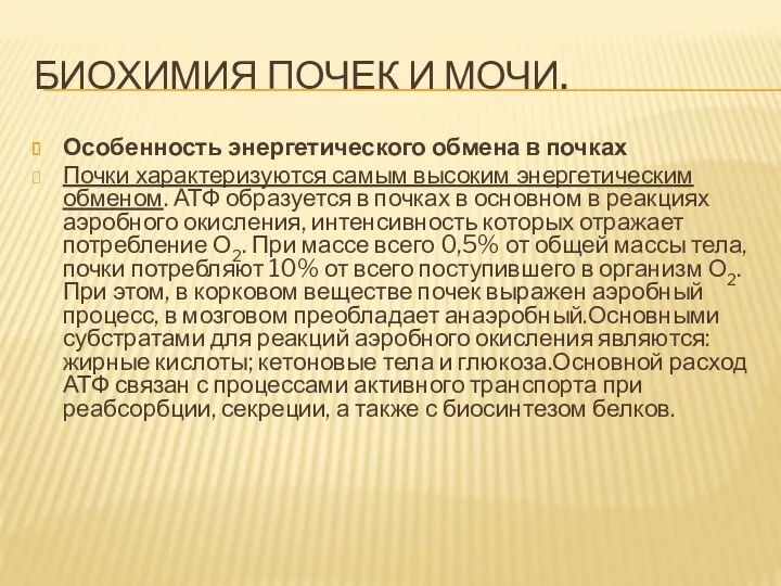 БИОХИМИЯ ПОЧЕК И МОЧИ. Особенность энергетического обмена в почках Почки