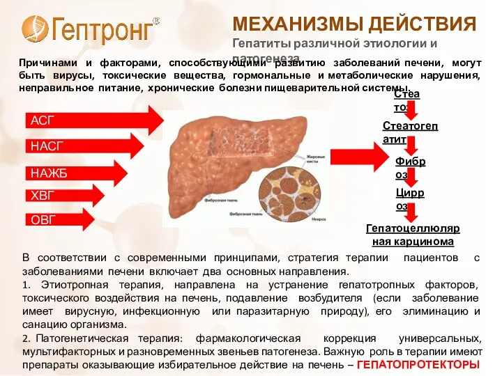 Гепатиты различной этиологии и патогенеза МЕХАНИЗМЫ ДЕЙСТВИЯ Причинами и факторами, способствующими развитию заболеваний