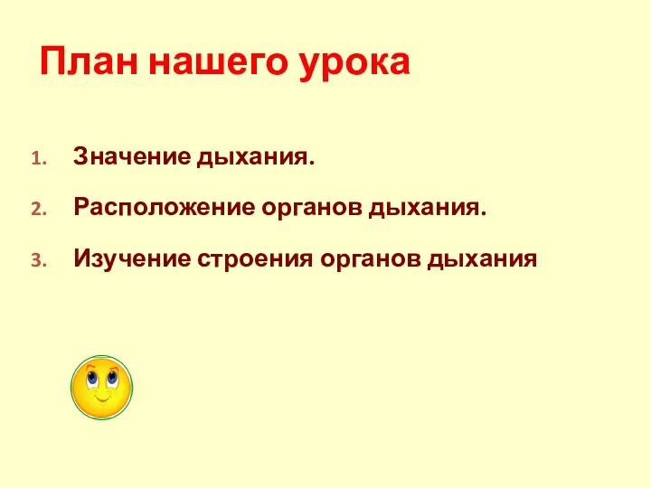 Значение дыхания. Расположение органов дыхания. Изучение строения органов дыхания План нашего урока