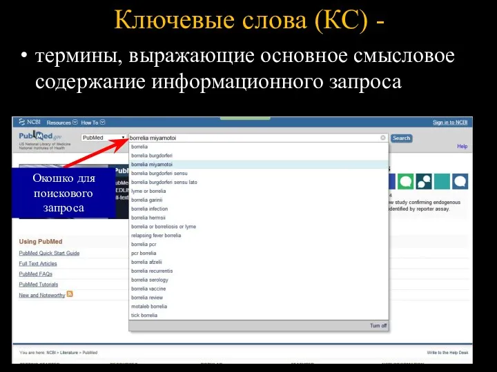 Ключевые слова (КС) - термины, выражающие основное смысловое содержание информационного запроса Окошко для поискового запроса