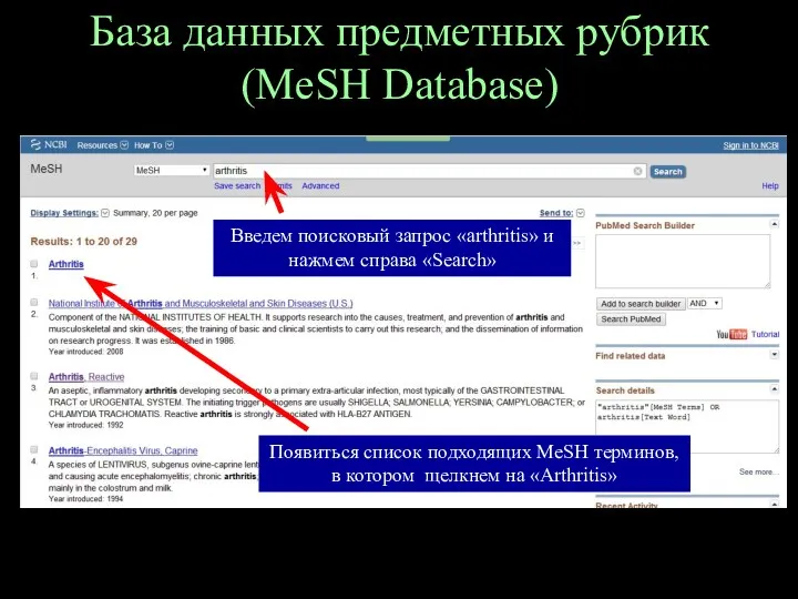 База данных предметных рубрик (MeSH Database) Введем поисковый запрос «arthritis»