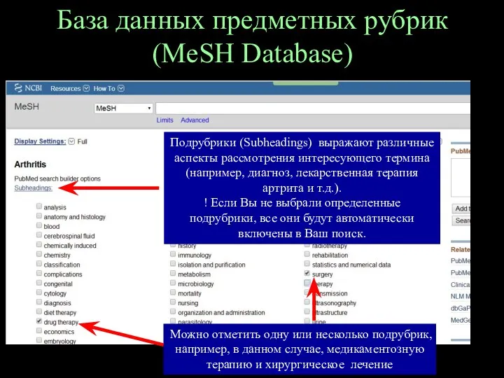 База данных предметных рубрик (MeSH Database) Подрубрики (Subheadings) выражают различные