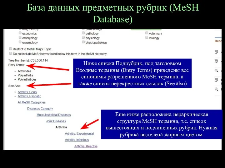 База данных предметных рубрик (MeSH Database) Ниже списка Подрубрик, под