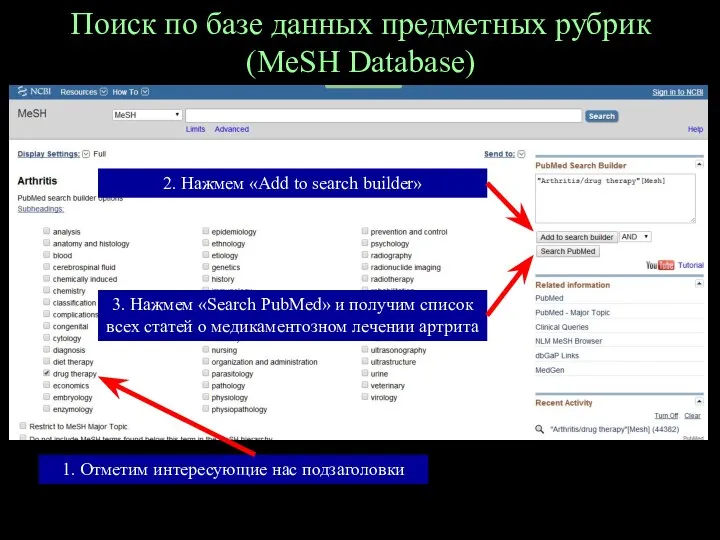 Поиск по базе данных предметных рубрик (MeSH Database) 1. Отметим