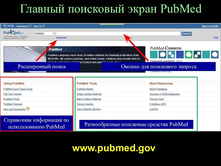 Главный поисковый экран PubMed Справочная информация по использованию PubMed Разнообразные